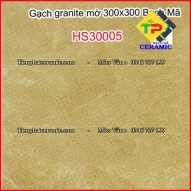 Gạch lát nền Bạch Mã 30×30 HS30005