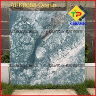 APK8088 Ocean